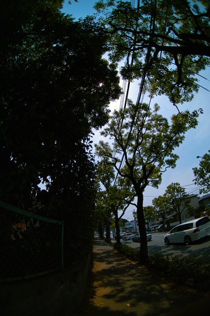 d0131982_14313486.jpg