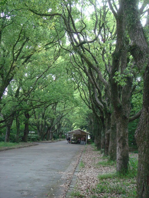 e0111793_20572147.jpg