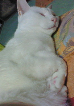 f0057094_1315272.jpg