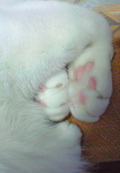 f0057094_1316812.jpg