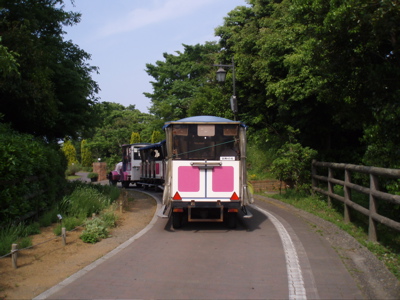 f0130894_21303732.jpg