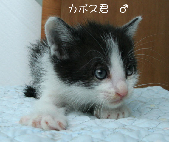 d0071596_2105219.jpg