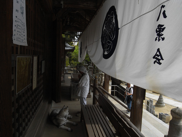 お遍路再開　４月２５日　屋島寺・八栗寺_c0049299_19341346.jpg