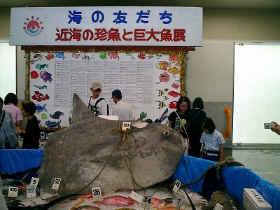 水産祭り_d0050503_1523253.jpg