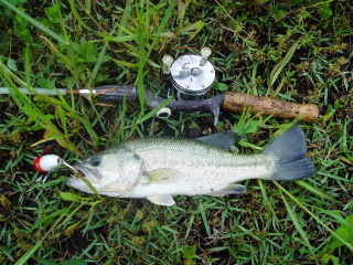 c0023804_13554658.jpg