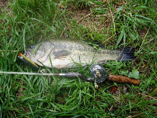 c0023804_149043.jpg