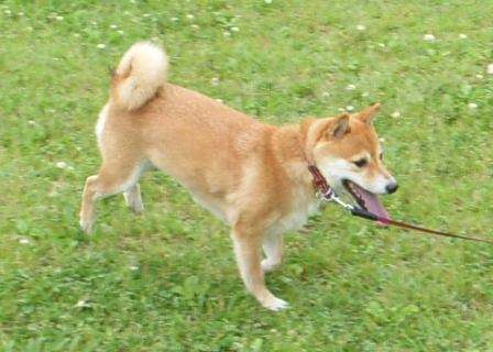 f0004309_21143442.jpg