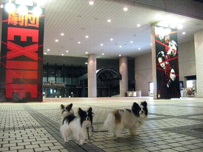 d0051614_1531038.jpg