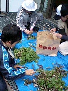 f0098728_21511139.jpg