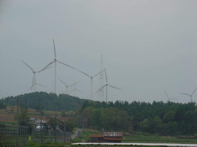 d0111435_18212261.jpg