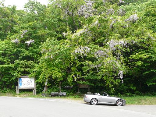 世界自然遺産　白神山地へ行く！_d0107838_8473747.jpg