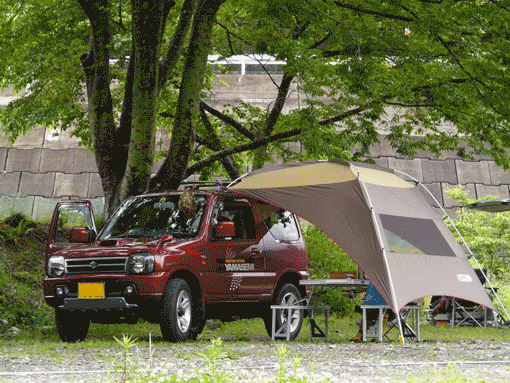 a0056140_239841.gif