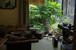 f0159844_15291342.gif