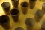 f0159844_15295818.gif