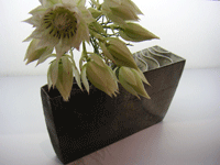 f0159844_1531949.gif