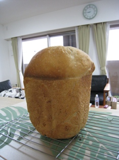 e0028650_1121621.jpg