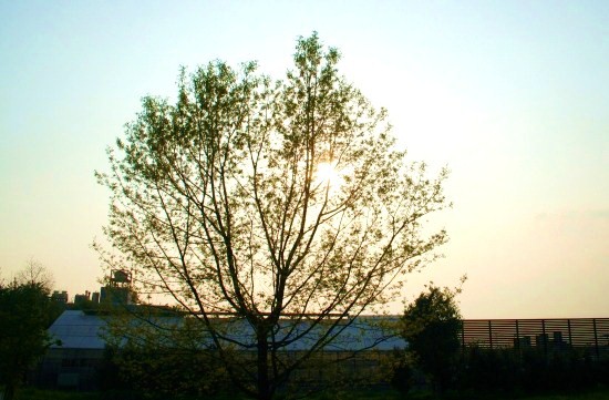 e0126350_2351757.jpg