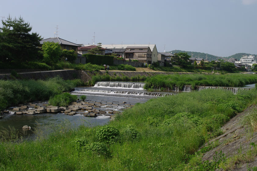 f0152550_15471853.jpg