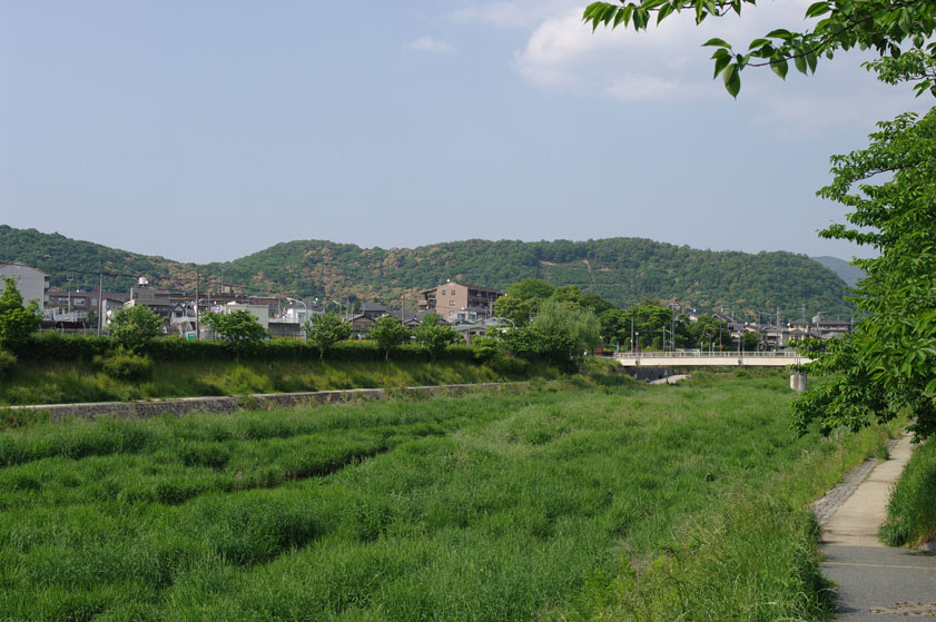 f0152550_1549261.jpg