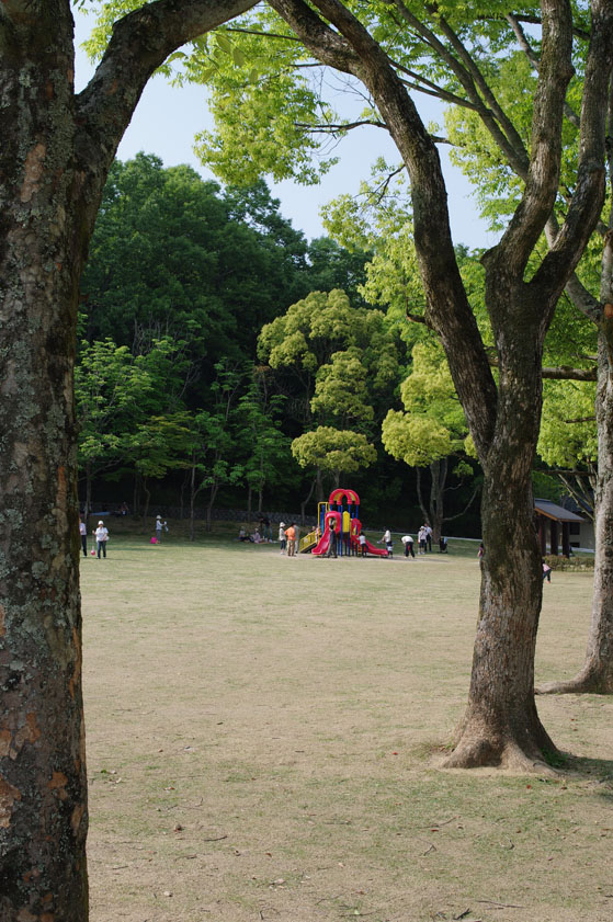 f0152550_16173533.jpg