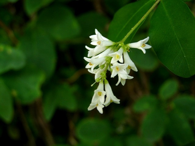 a0018655_10562385.jpg