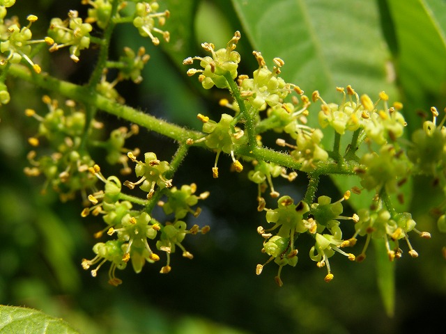 a0018655_1105732.jpg