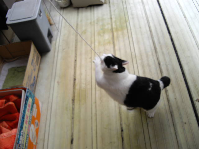 痩せたいんですけれど・・・_d0116059_15542100.jpg