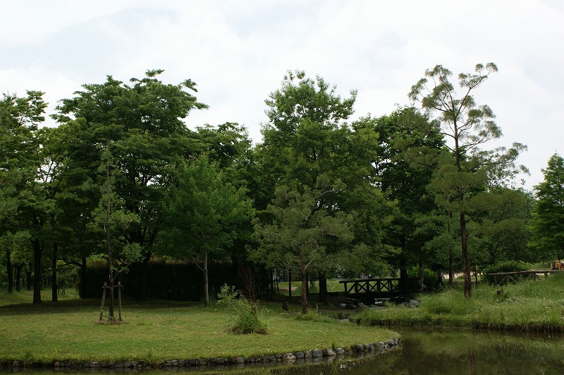 f0161964_21275998.jpg