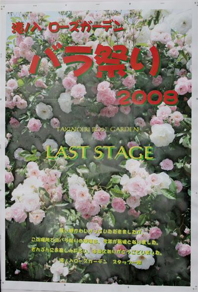薔薇_e0071967_9111189.jpg