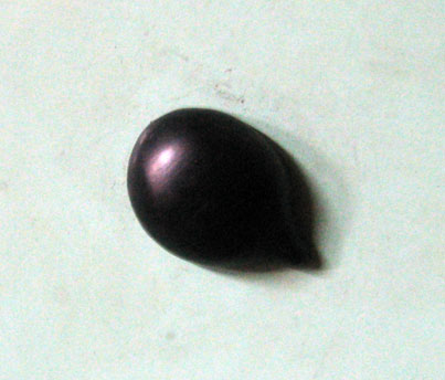 b0057679_7415333.jpg