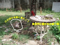 リン♪リン♪こんな所にリン♪_f0144385_13415776.jpg
