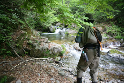 f0166390_22491562.jpg