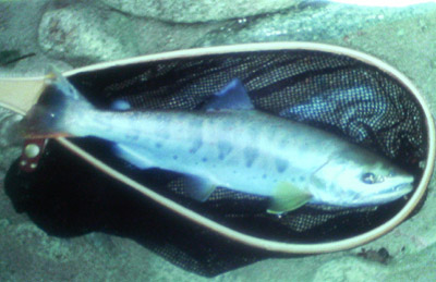 f0166390_23275545.jpg