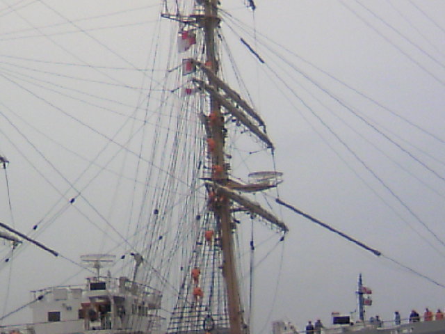 b0135992_93762.jpg