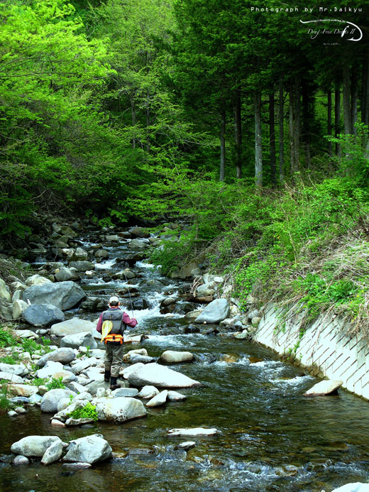 f0085599_20312571.jpg