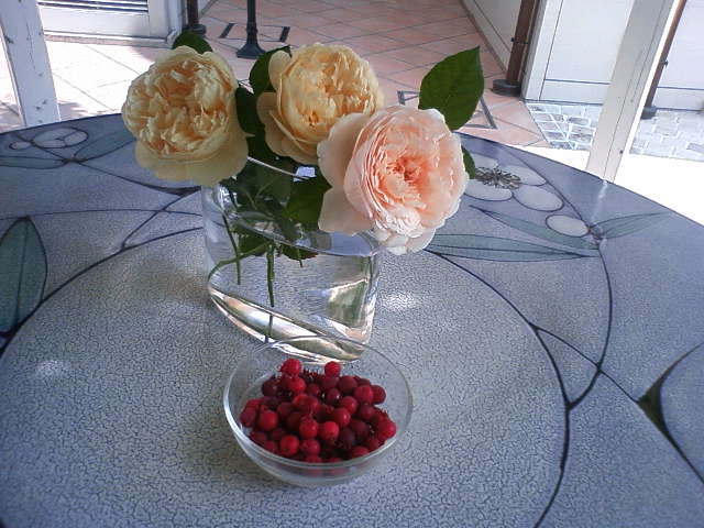 物々交換 中野 馨一が創る 外構、庭造りの現場