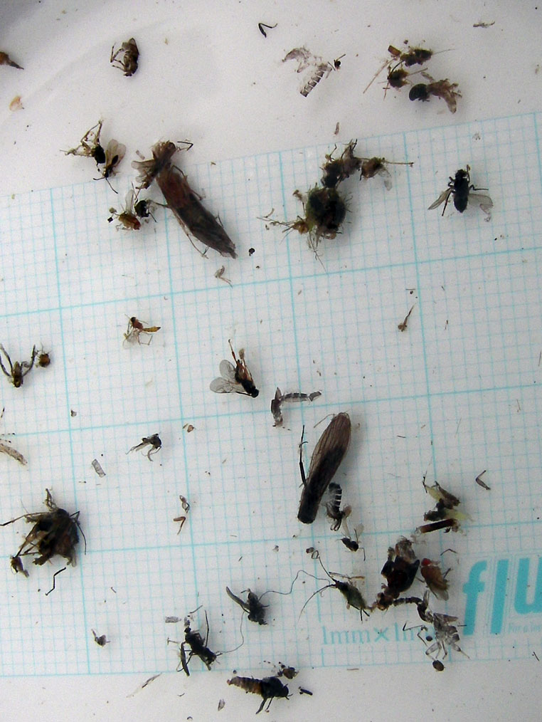 HONTANI_c0095801_22281321.jpg
