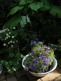 c0129702_9565125.gif