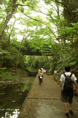 e0083204_1181919.jpg
