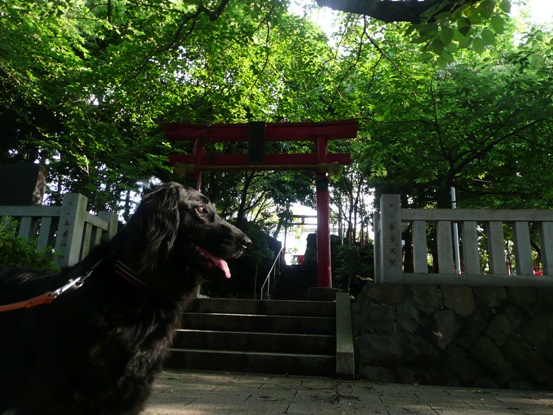 c0097309_81657.jpg