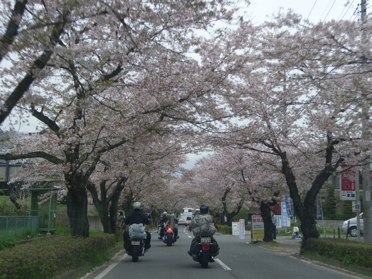 f0056412_09245.jpg