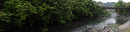 蛍が乱れ飛ぶ川_a0096313_1122496.jpg