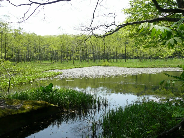 福島県_e0034313_8233824.jpg