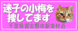 f0086814_3223520.gif