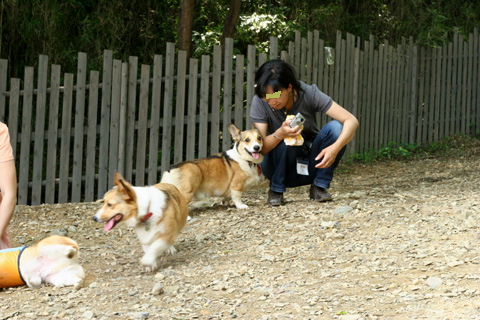 e0071225_1648146.jpg