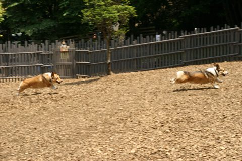 e0071225_20535483.jpg