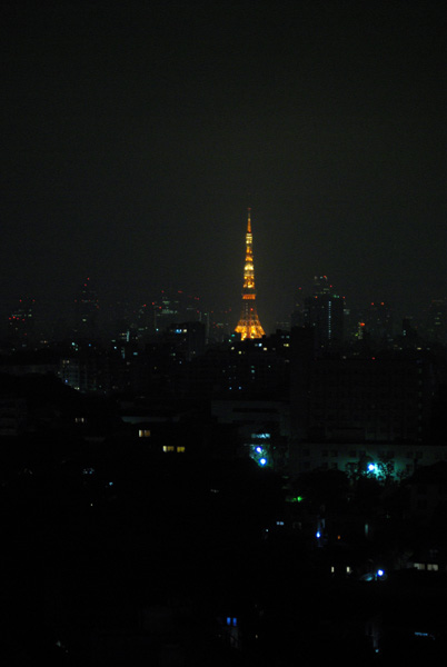 闇夜を抜けて東京へ_c0136330_1582630.jpg