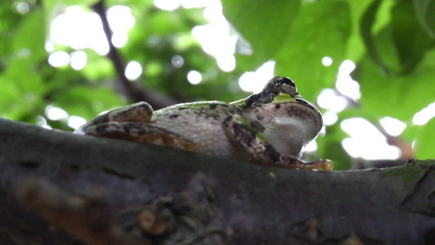 d0075131_0132897.jpg