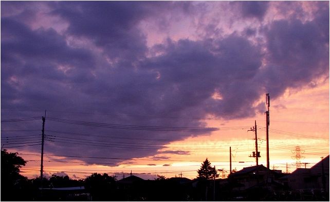 e0052135_21211829.jpg