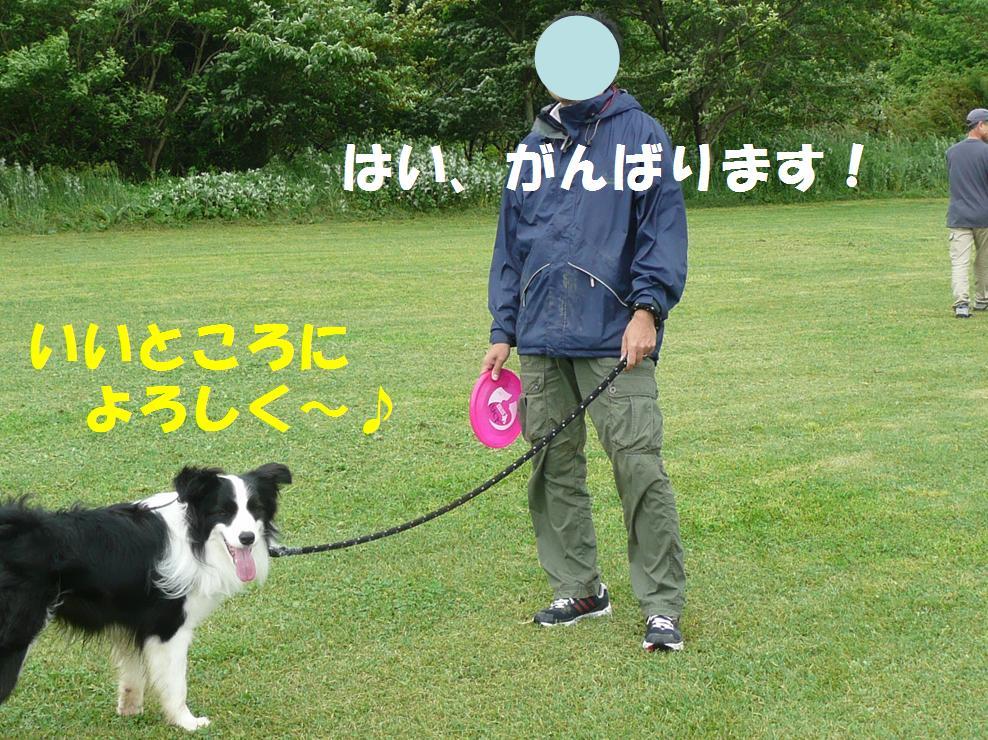 c0147241_21312576.jpg